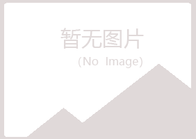 钦州钦北山柏建设有限公司